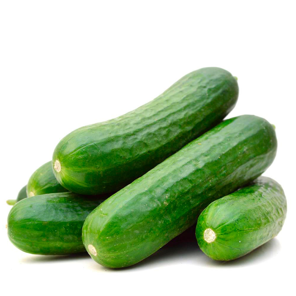 Cucumber -FF
